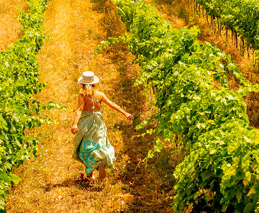 Gite De La Source - Rosières - Gorges de l'Ardèche - balade dans les vignes